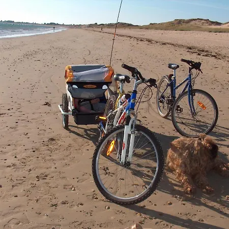 L'olivier Holiday home La Barre-de-Monts