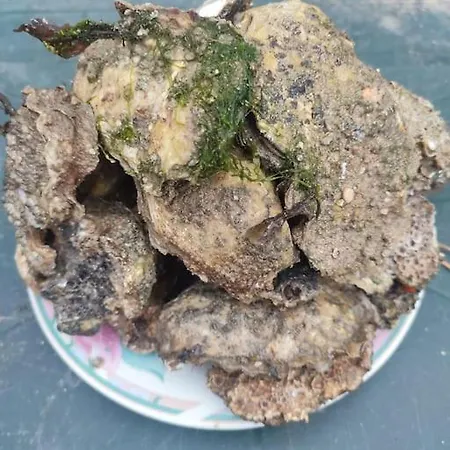 Holiday home L'olivier La Barre-de-Monts