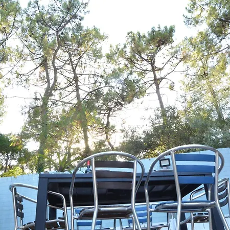 L'olivier La Barre-de-Monts