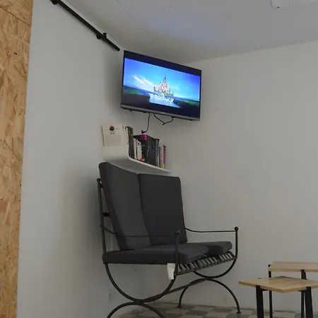 L'olivier La Barre-de-Monts