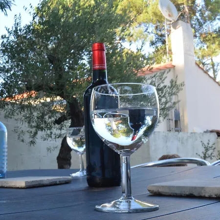 L'olivier * La Barre-de-Monts