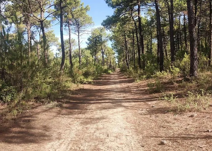 L'olivier Prázdninový dům *