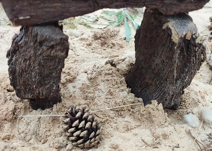 L'olivier Prázdninový dům La Barre-de-Monts