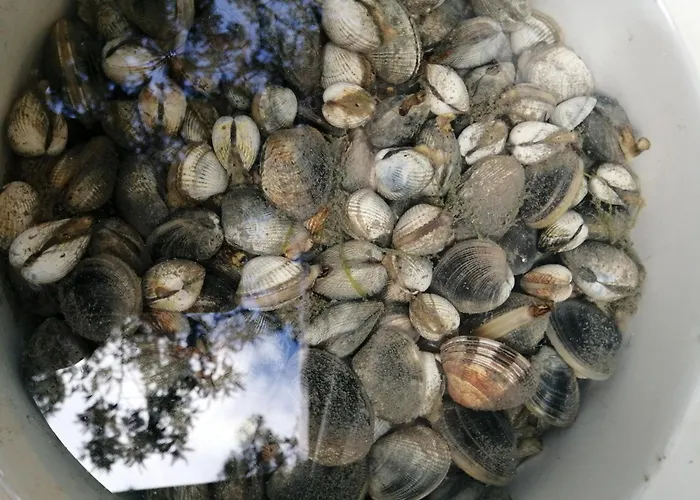 L'olivier Prázdninový dům La Barre-de-Monts