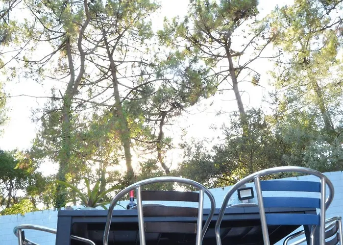 L'olivier La Barre-de-Monts