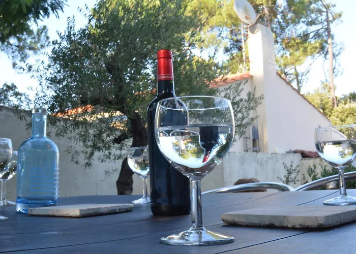 L'olivier * La Barre-de-Monts