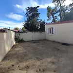 L'olivier