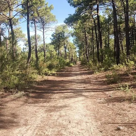 L'olivier Ferienhaus *