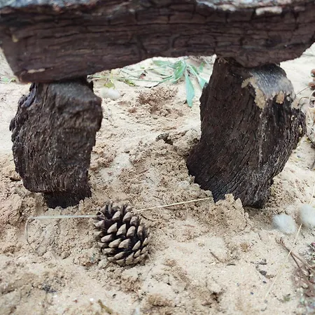 L'olivier Ferienhaus La Barre-de-Monts