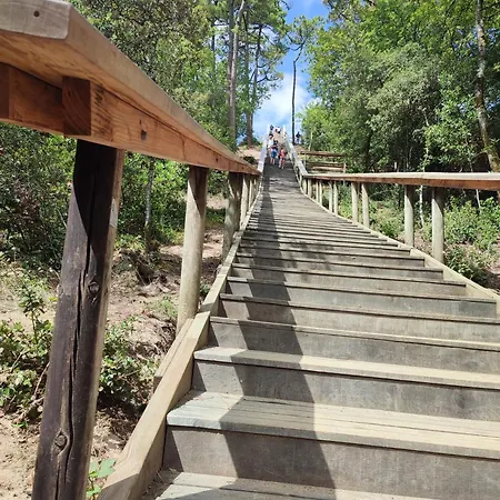 Ferienhaus L'olivier