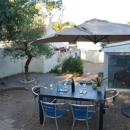 L'olivier La Barre-de-Monts