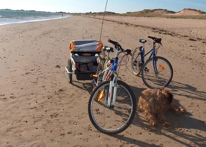 L'olivier 펜션 라 바르-드-몽